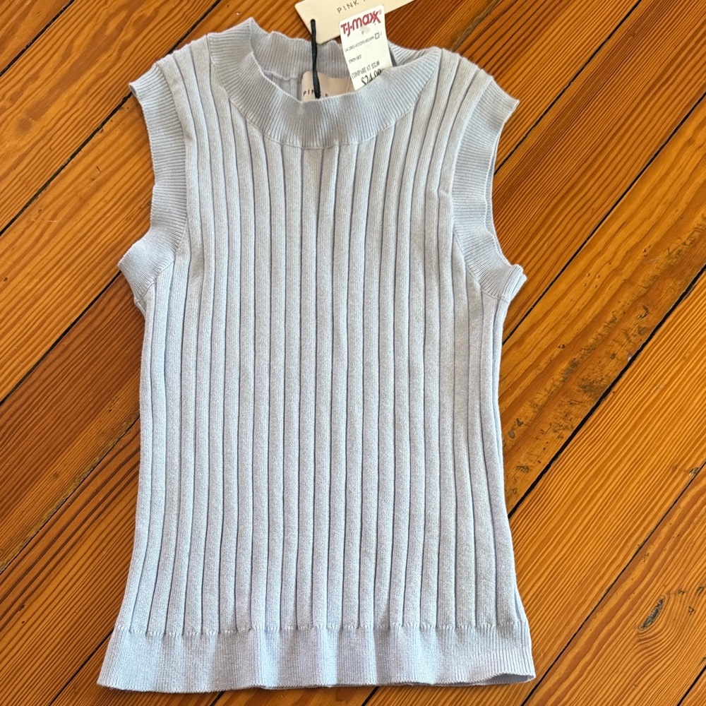 Pink Rose Ribbed Knit Top in Light Blue